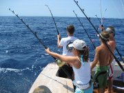 Jarrett Bay 58